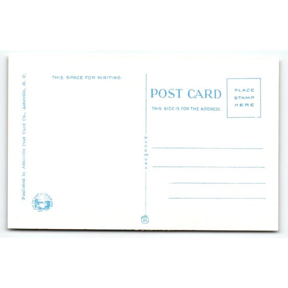 Vintage Linen Postcard Southern Appalachian Mountains Waterfall - Picture 2 of 2